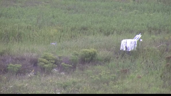 capture-5-23-08-15_11-48-29-60