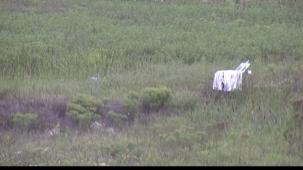 capture-5-23-08-15_11-50-29-79