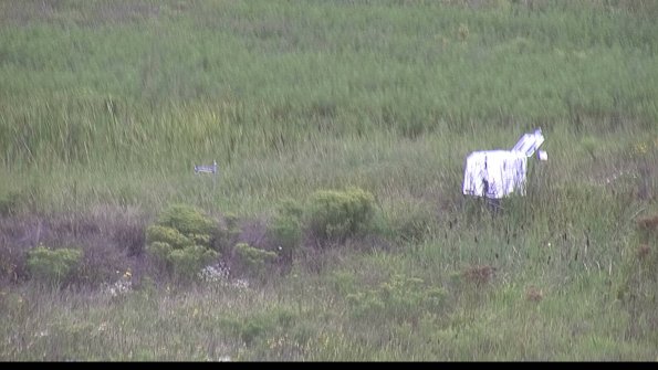 capture-5-23-08-15_11-52-30-15