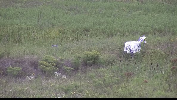 capture-5-23-08-15_11-56-29-99