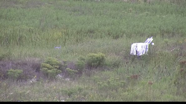 capture-5-23-08-15_11-58-29-77