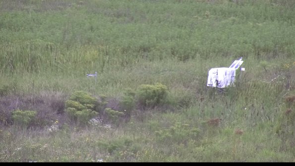 capture-5-23-08-15_12-06-29-92