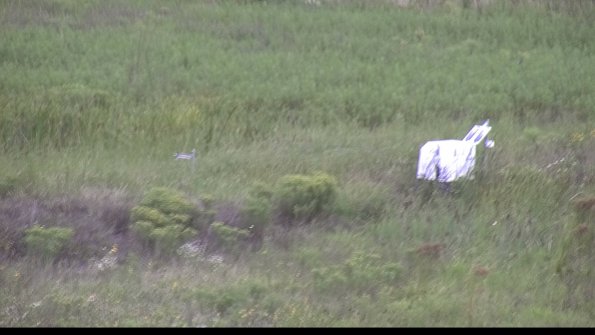 capture-5-23-08-15_12-08-29-64