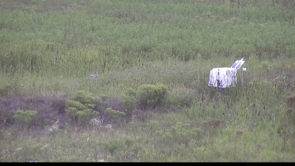 capture-5-23-08-15_12-34-29-80