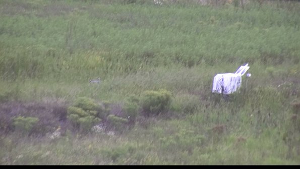 capture-5-23-08-15_12-44-29-64