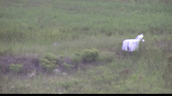 capture-5-23-08-15_13-10-29-68