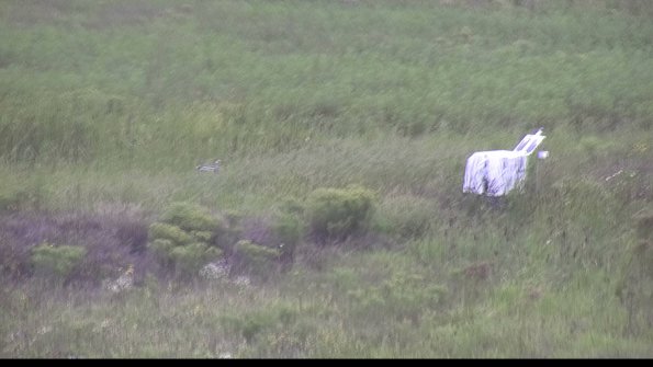 capture-5-23-08-15_13-12-29-50