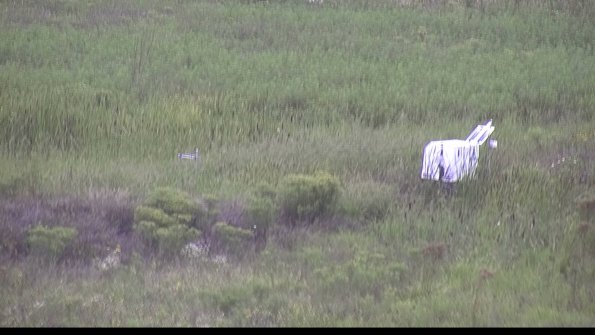 capture-5-23-08-15_13-18-30-32