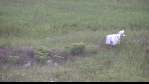 capture-5-23-08-15_13-24-30-01