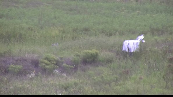 capture-5-23-08-15_13-42-30-30