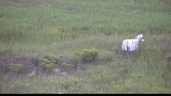 capture-5-23-08-15_13-58-30-36