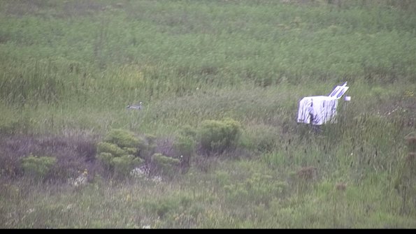 capture-5-23-08-15_14-00-30-35