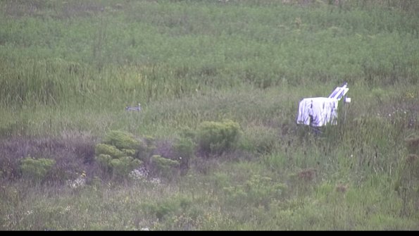 capture-5-23-08-15_14-08-29-73