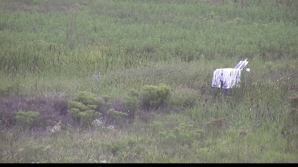 capture-5-23-08-15_14-10-29-75