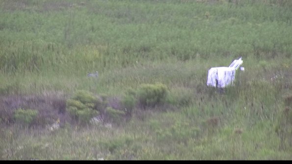 capture-5-23-08-15_14-14-29-49