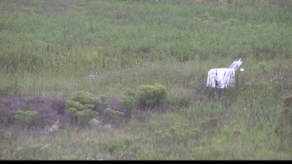 capture-5-23-08-15_14-22-30-01