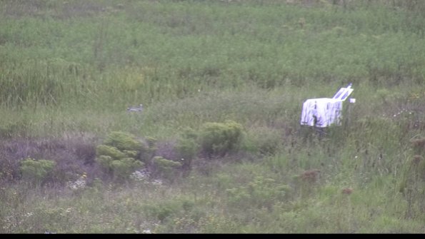 capture-5-23-08-15_14-24-30-20