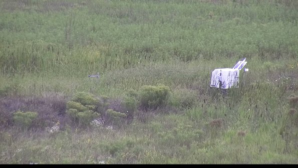 capture-5-23-08-15_14-30-29-66