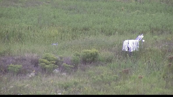 capture-5-23-08-15_14-36-29-92