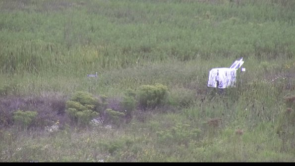 capture-5-23-08-15_14-38-30-34