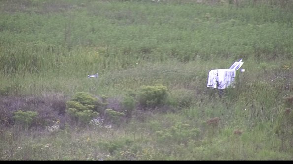 capture-5-23-08-15_15-00-30-09