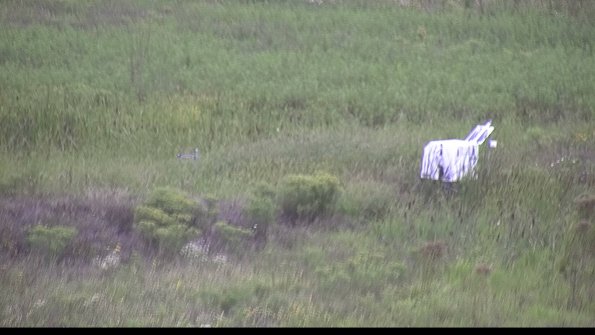 capture-5-23-08-15_15-08-30-04