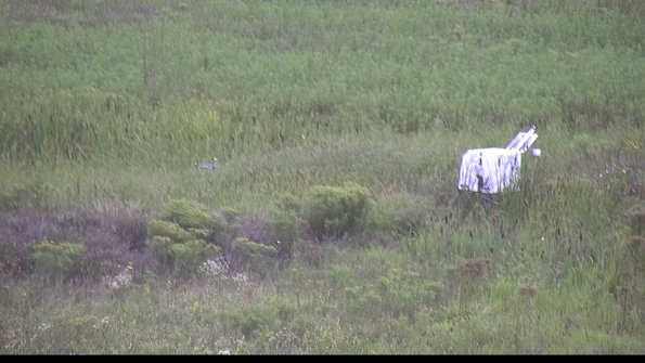 capture-5-23-08-15_15-10-29-96