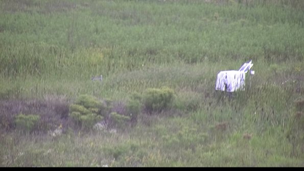 capture-5-23-08-15_15-16-29-45