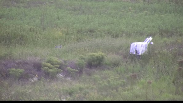 capture-5-23-08-15_15-36-29-89