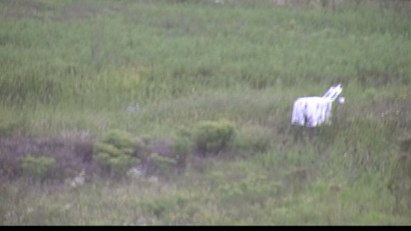 capture-5-23-08-15_15-38-29-51