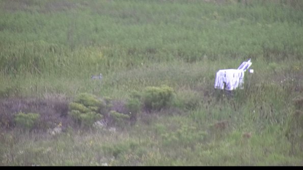 capture-5-23-08-15_15-52-29-73