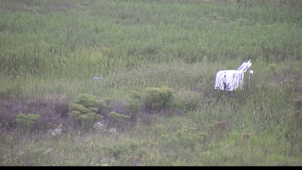 capture-5-23-08-15_15-58-29-69