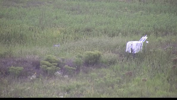 capture-5-23-08-15_16-00-30-08