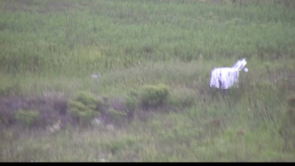 capture-5-23-08-15_16-16-29-64