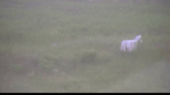 capture-5-23-08-15_16-36-30-30