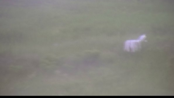 capture-5-23-08-15_16-38-30-22