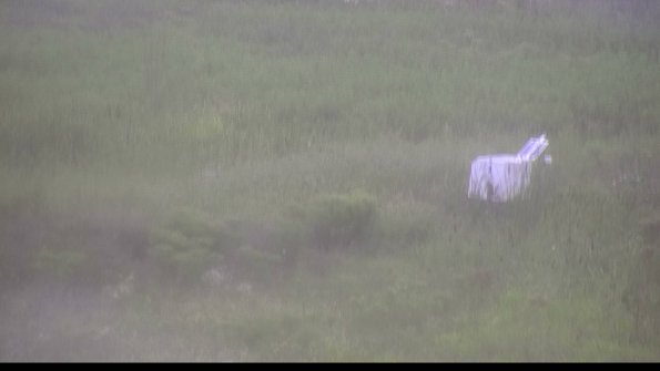 capture-5-23-08-15_16-44-29-71