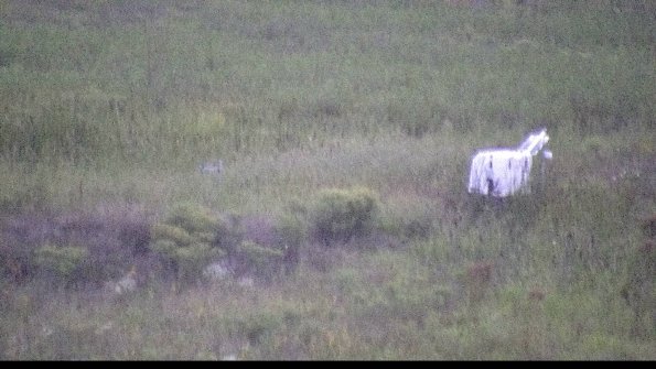 capture-5-23-08-15_20-54-49-57