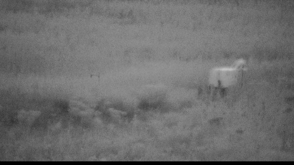 capture-5-23-08-15_20-56-49-89