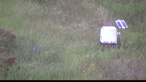 capture-6-23-08-15_07-12-59-19