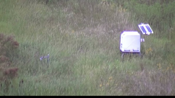 capture-6-23-08-15_07-18-58-58