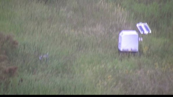 capture-6-23-08-15_08-21-00-09