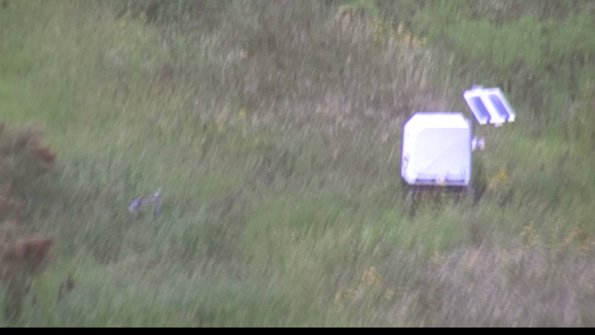 capture-6-23-08-15_12-44-44-72