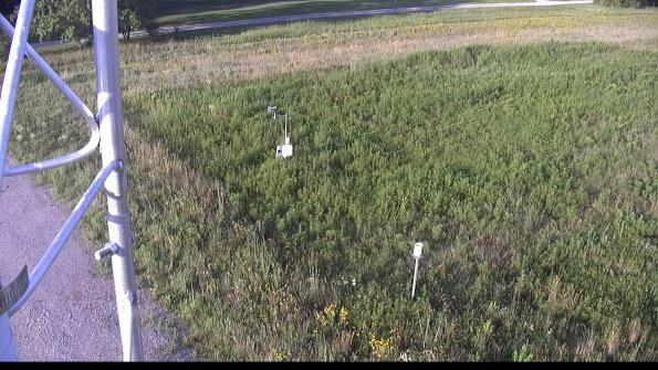 capture-1-23-08-16_08-03-49-01