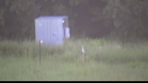 capture-2-23-08-16_07-14-06-89