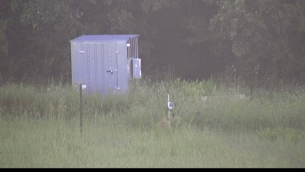 capture-2-23-08-16_07-44-07-32