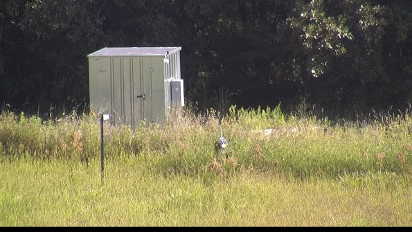 capture-2-23-08-16_10-10-07-31