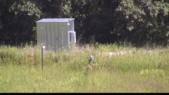 capture-2-23-08-16_11-46-06-99