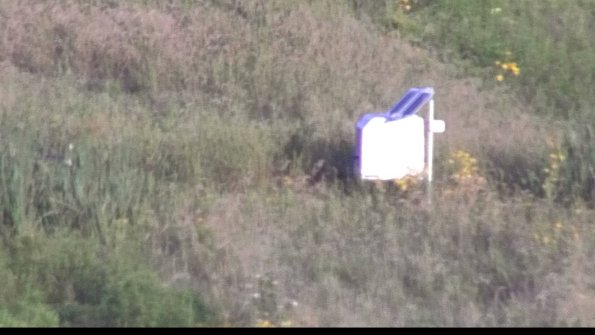 capture-4-23-08-16_07-40-35-47