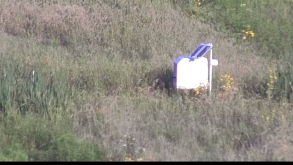 capture-4-23-08-16_07-54-35-88